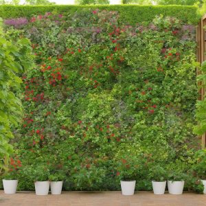 DIY Garden Trellis Ideas for Climbing Plants