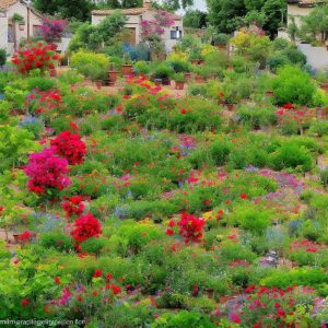 DIY Garden Projects: Upcycling in the Garden