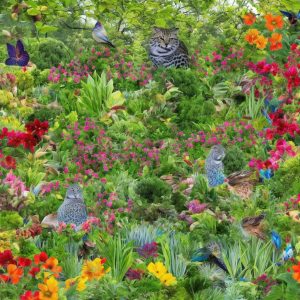 Creating a Wildlife-Friendly Garden Habitat