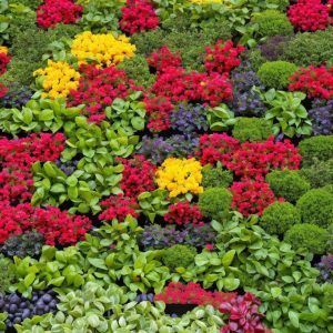 Container Gardening 101: Getting Started