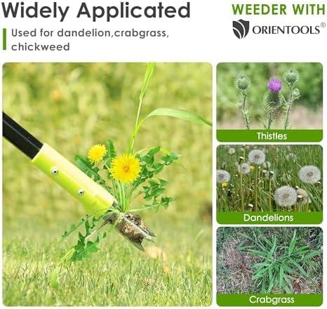 Effortless Gardening: ORIENTOOLS Weed Puller Review